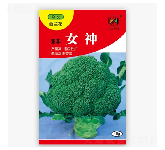 ����Ů��-���m���N��-����