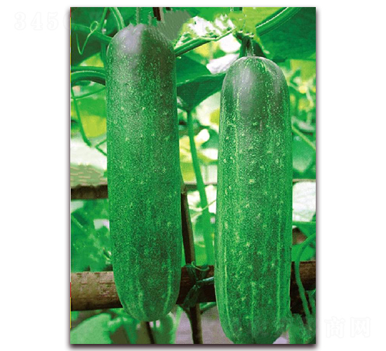 ����1092-�S�ϷN��-�|������