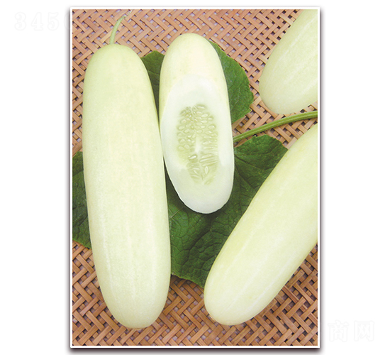 ����һ̖-�S�ϷN��-����N��