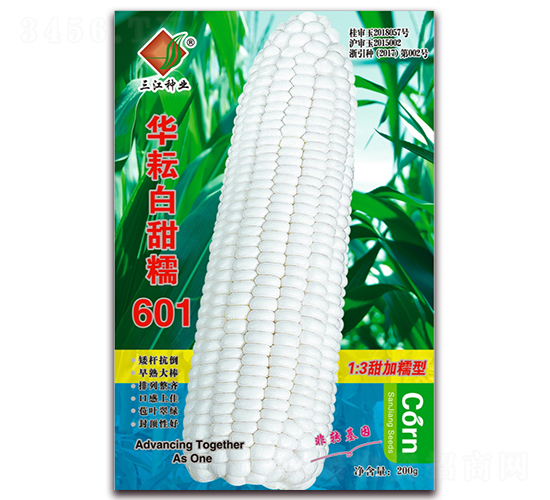 �A�Ű���Ŵ601-Ŵ���׷N��-�����N�I