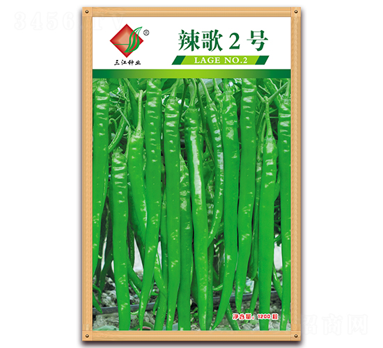 ����2̖-�����N��-�����N�I