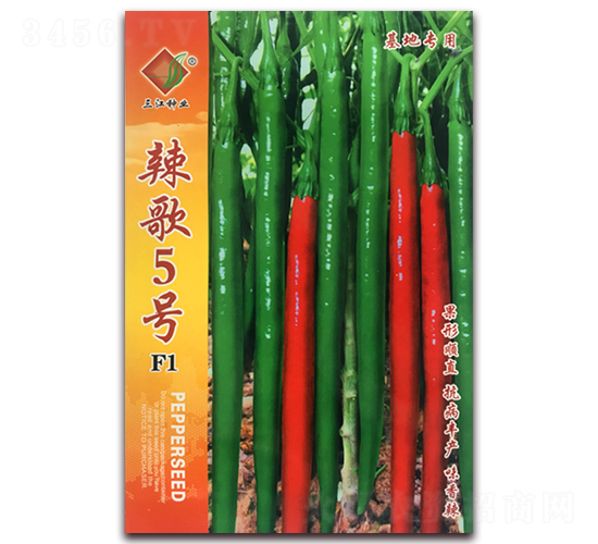 ����5̖F1-�����N��-�����N�I(y��)