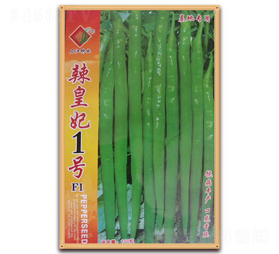 ������1̖F1-�����N��-�����N�I