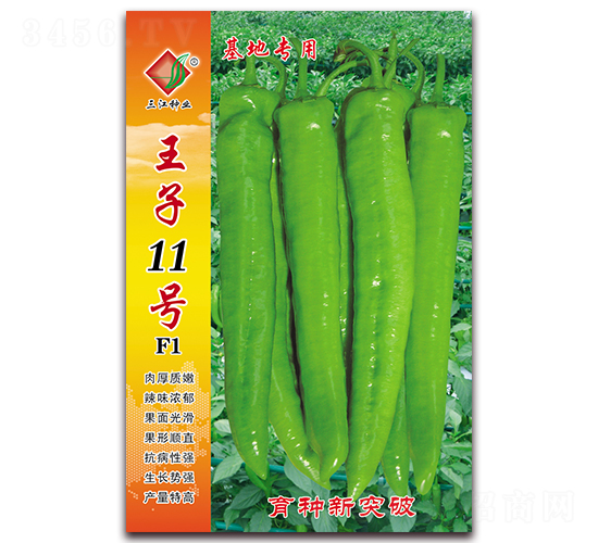 ����11̖F1-�����N��-�����N�I(y��)