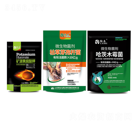 �����B���ײ�-�պ�-����Ԫ��