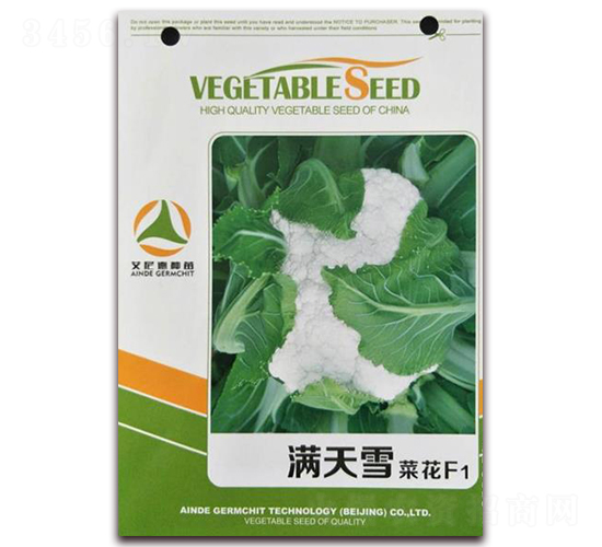 �M��ѩ�˻�F1-�˻��N��-�����