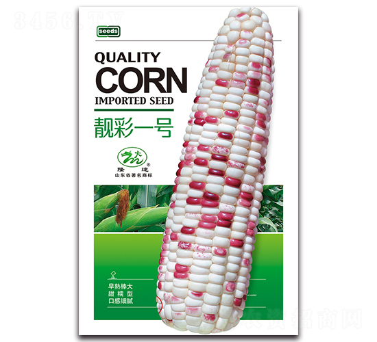 �n��һ̖-Ŵ���׷N��-¡�_