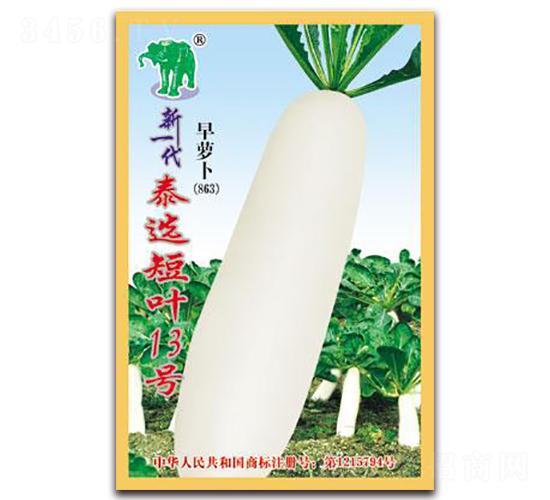 ��һ��̩�x���~13̖���}��-�}���N��-���S�N�I