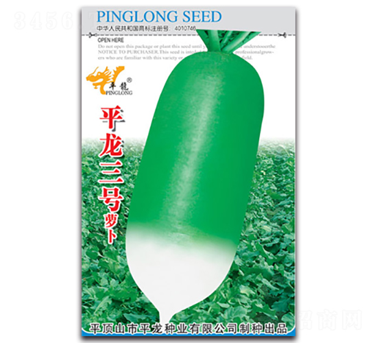 平龍三號蘿卜-蘿卜種子-平龍種業(yè)