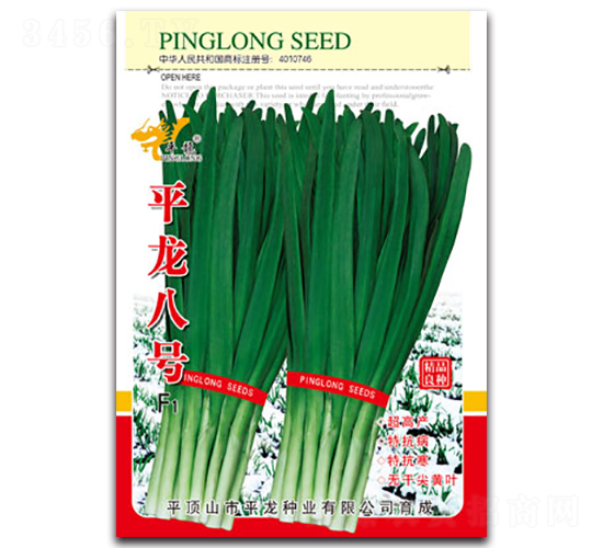 平龍八號F1-韭菜種子-平龍種業