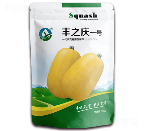 豐之慶一號-西葫蘆種子-現代種業