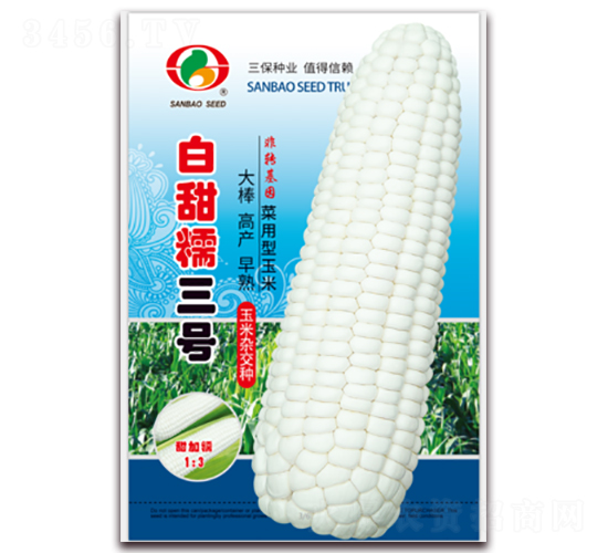 ����Ŵ��̖-Ŵ���׷N��-�����N�I