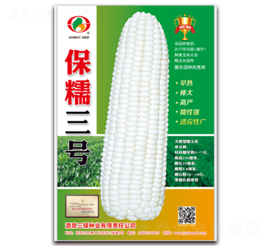 保糯三號-糯玉米種子-三保種業