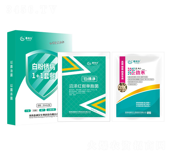 �׷��P��1+1�ײ�-̩����