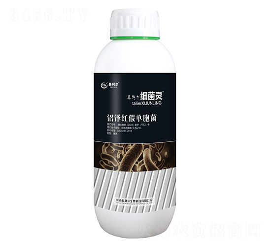 �ӝɼt�نΰ���-�����`-̩����