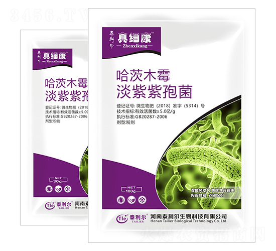 ���ġ��������߾�-�漚��-̩����