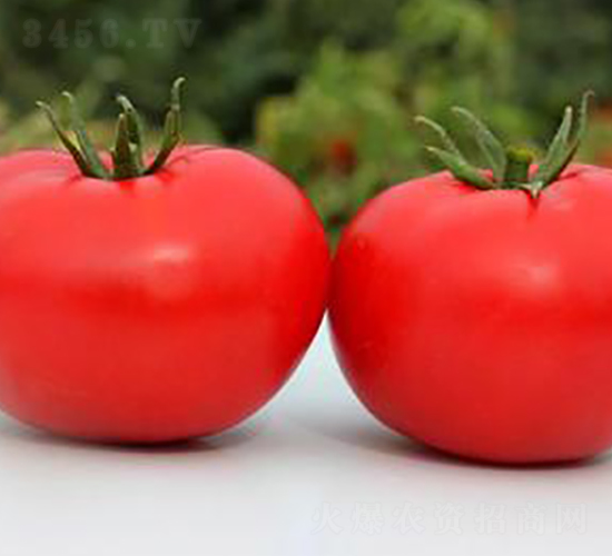 TA08-���ѷN��-�G�x�N�I