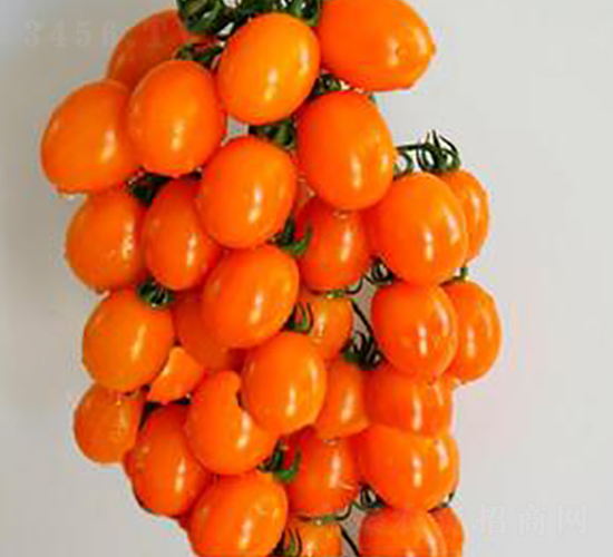 TM170-���ѷN��-�G�x�N�I