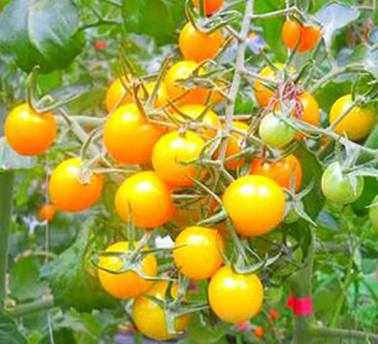 TA02-���ѷN��-�G�x�N�I