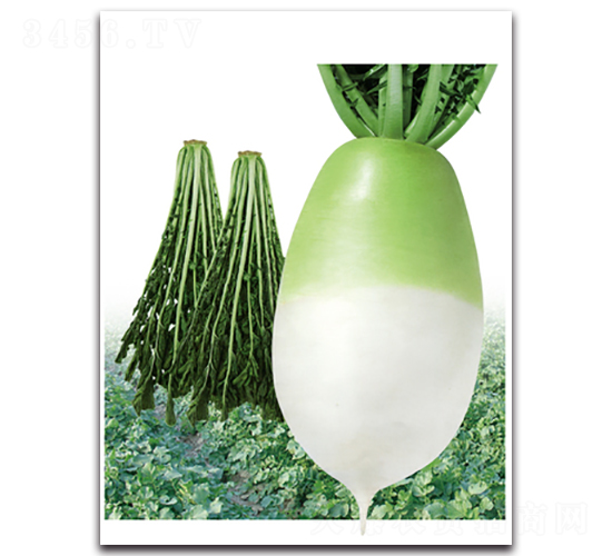 �~�G��-�}���N��-���}�r�I