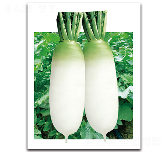 �ഺ�}��-�}���N��-���}�r�I