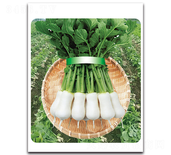 �r�Ґ�-�}���N��-���}�r�I