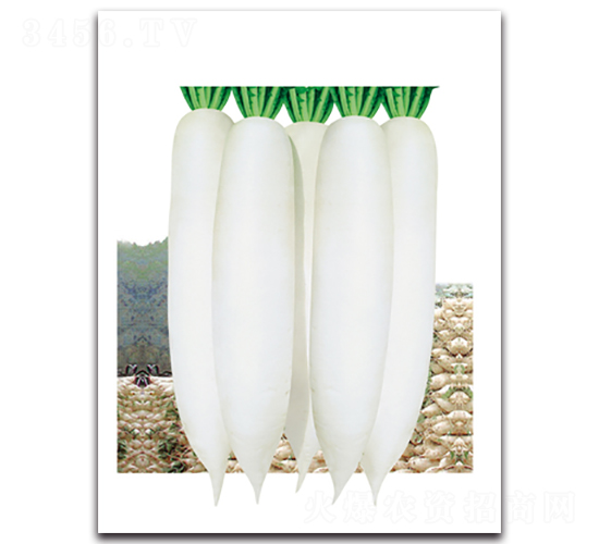 �n������-�}���N��-���}�r�I