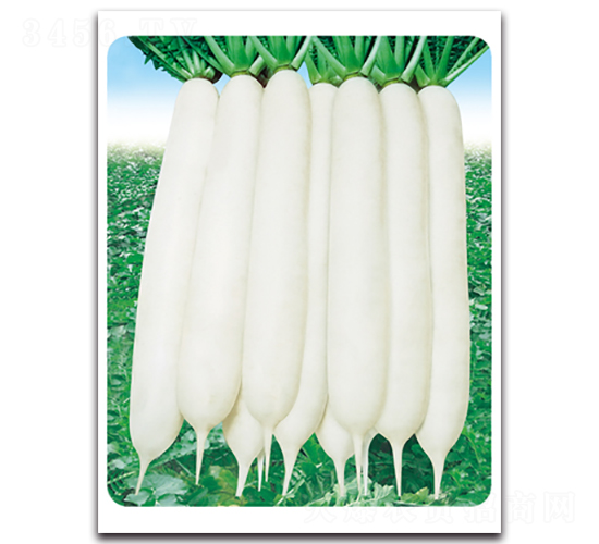 ��G����-�}���N��-���}�r�I