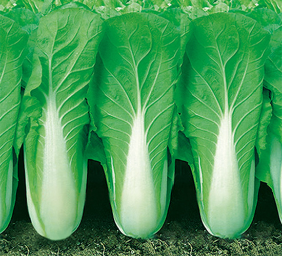 �֠����2̖(h��o)-��˷N��-�֠��r(n��ng)�I(y��)