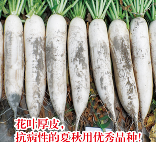 ����}��-�}���N��-�֠��r�I