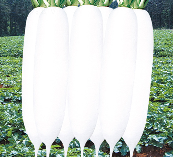 ������-�}���N��-�֠��r�I