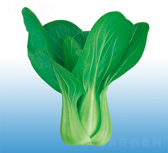 ����-�๣�˷N��-�֠��r�I