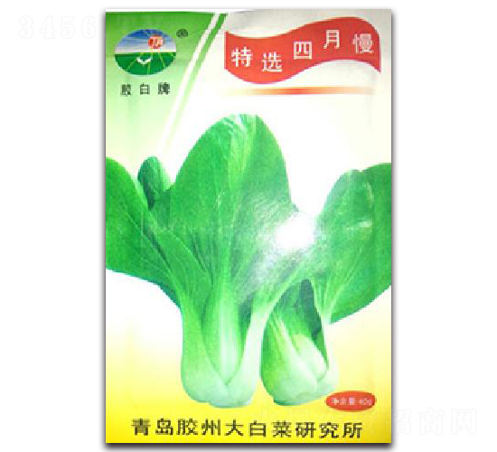 ���x������-��˷N��-�z��