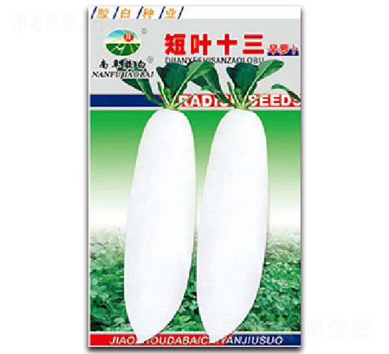 ���~13-�}���N��-�z��