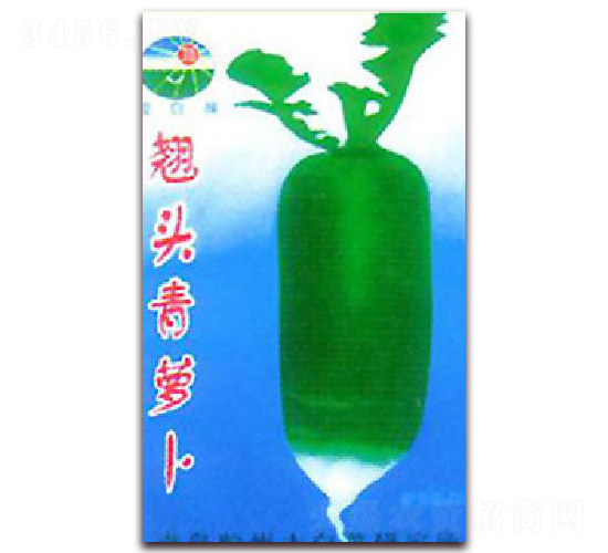 �N�^���}��-�}���N��-�z��