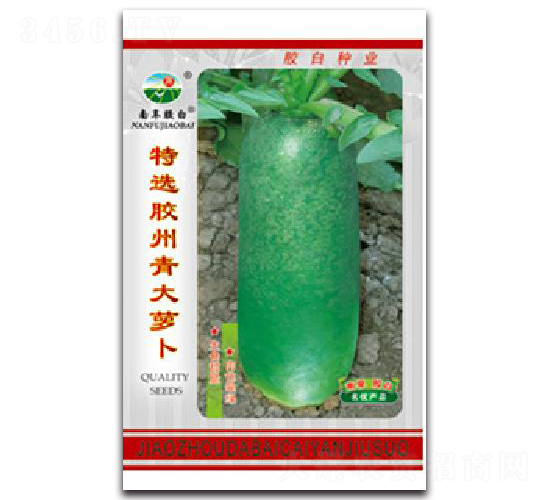 ���x�z������}��-�}���N��-�z��