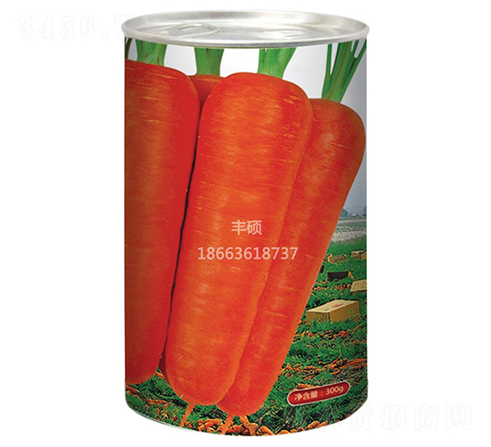 �t�����ߴ�-���}���N��-�S�T�N�I(y��)