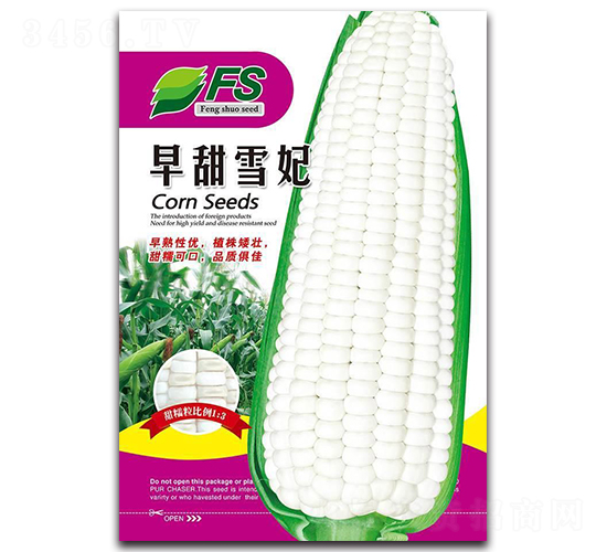 ����ѩ��-��Ŵ���׷N��-�S�T�N�I