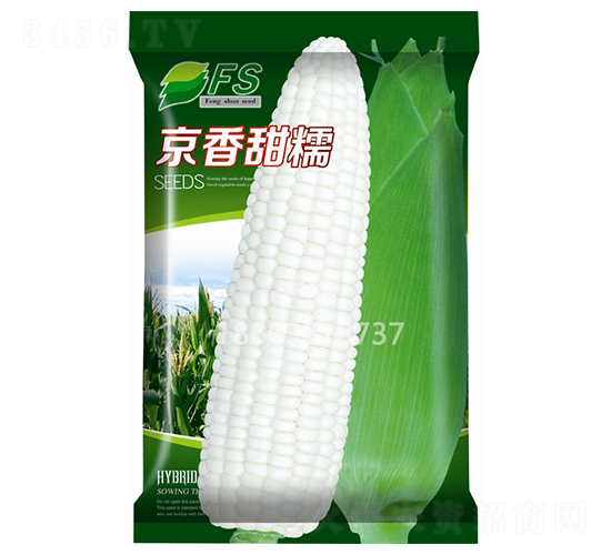 ������Ŵ-��Ŵ���׷N��-�S�T�N�I