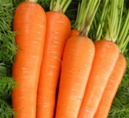 EC228-���}���N��-���S�r(n��ng)�I(y��)