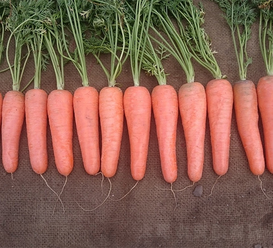 ���S1366-���}���N��-���S�r�I