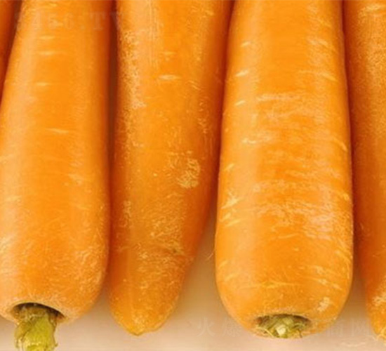 EC1296-胡蘿卜種子-哈維農(nóng)業(yè)