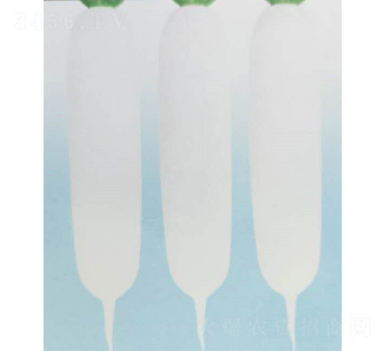 ѩ��958-���}���N��-���S�r�I