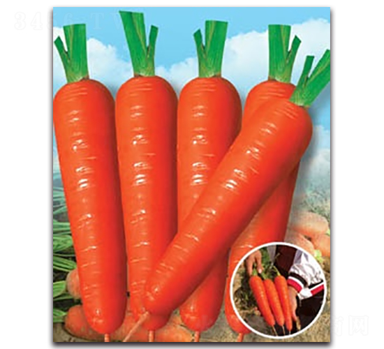 �|���t�ߴ�-�}���N��-����N�I(y��)