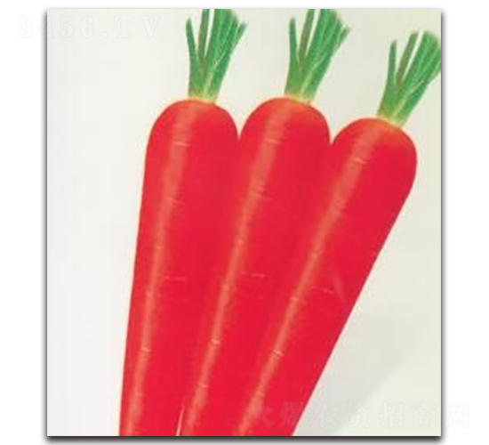 �t��110���}��-�}���N��-����N�I