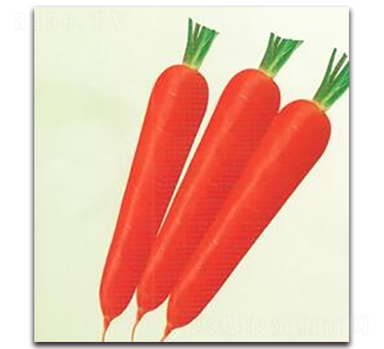 �|��20���}��-�}���N��-����N�I