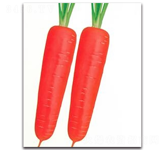 �|��19���}��-�}���N��-����N�I