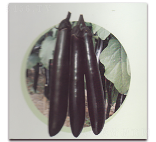 ����������-���ӷN��-����N�I