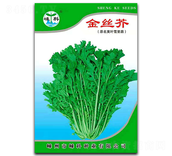 ��z��-��˷N��-�ӿƷN�I