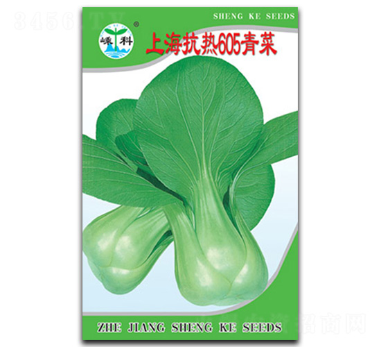 上?？篃?05青菜-青菜種子-嵊科種業